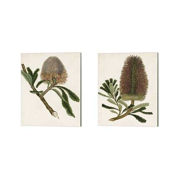 Metaverse Unknown 'Antique Protea B' Canvas Art (Set of 2)