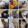 thumbnail image 6 of Mumup 1Pack Cat Collars,Rhinestone for Girl Cats Bling Kitten Flower Adjustable Breakaway Collar with Bell Soft Velvet Leather Collar for Puppy Small Dogs, 6 of 6