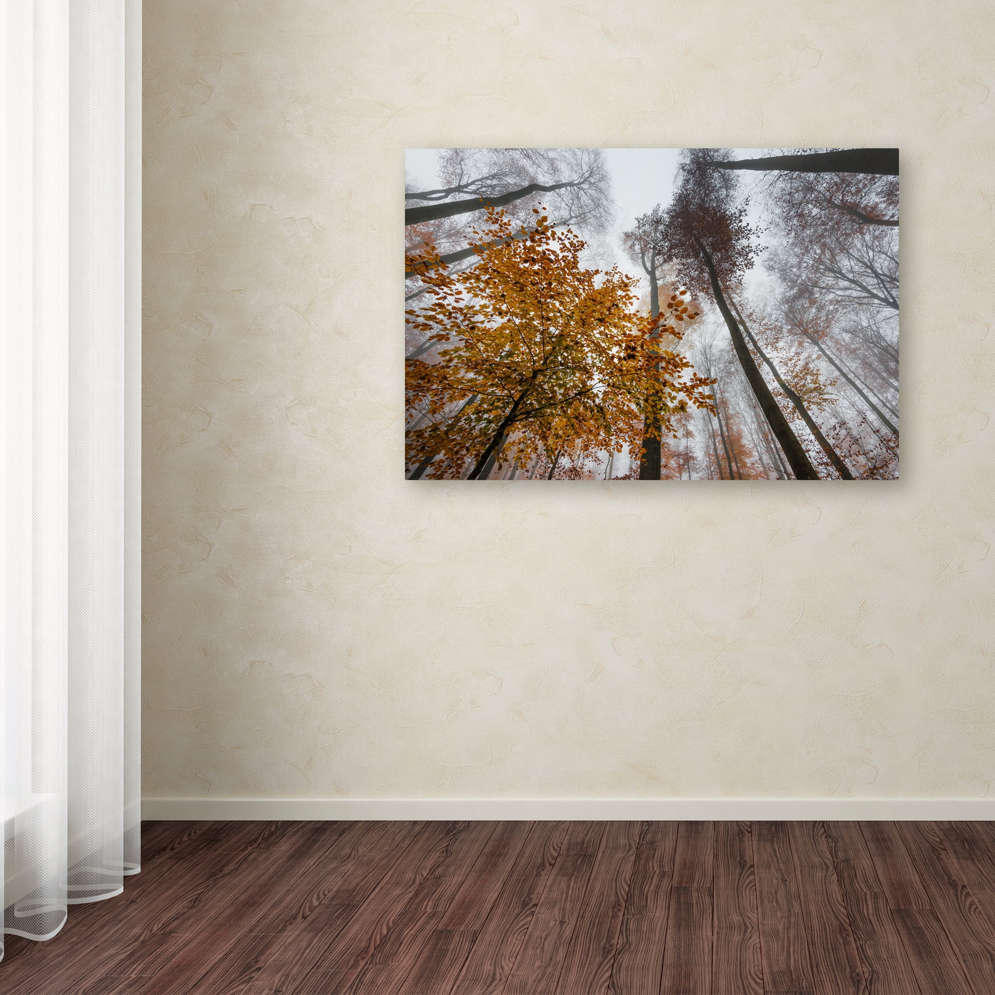 Philippe Sainte-Laudy 'Daydreamer' Canvas Art