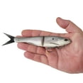thumbnail image 3 of Berkley PowerBait® Nessie Fishing Bait, Hickory Shad, 7 in, Soft Swimbait, 3 of 5