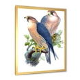 thumbnail image 2 of Designart 'Ancient Birds II' Traditional Framed Art Print, 2 of 4