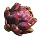thumbnail image 1 of Ornamento De Cabeza De De Flor De Simución Para Decoración Del Hogar De Oficina Del Jardín Purple_L Zulema Ornamento artificial de la piña, 1 of 8