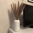 thumbnail image 5 of 10 cañas de hierba de pampa natural, decoración de ramo de flores secas de hierba de pampa seca (azul) Sailing Electrónica, 5 of 5