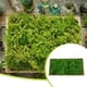 thumbnail image 3 of Musgo artificial Wosthever de flores preservadas color Amarillo Verde claro Verde Turquesa Naranja, 3 of 6