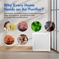 thumbnail image 4 of Smart Air Blast Mini MKII H13 HEPA Air Purifier for Large Rooms up to 3075 Sq Ft, 4 of 8