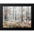 thumbnail image 2 of Weisz, Irene 14x12 Black Modern Framed Museum Art Print Titled - Always Magic in the Woods, 2 of 5