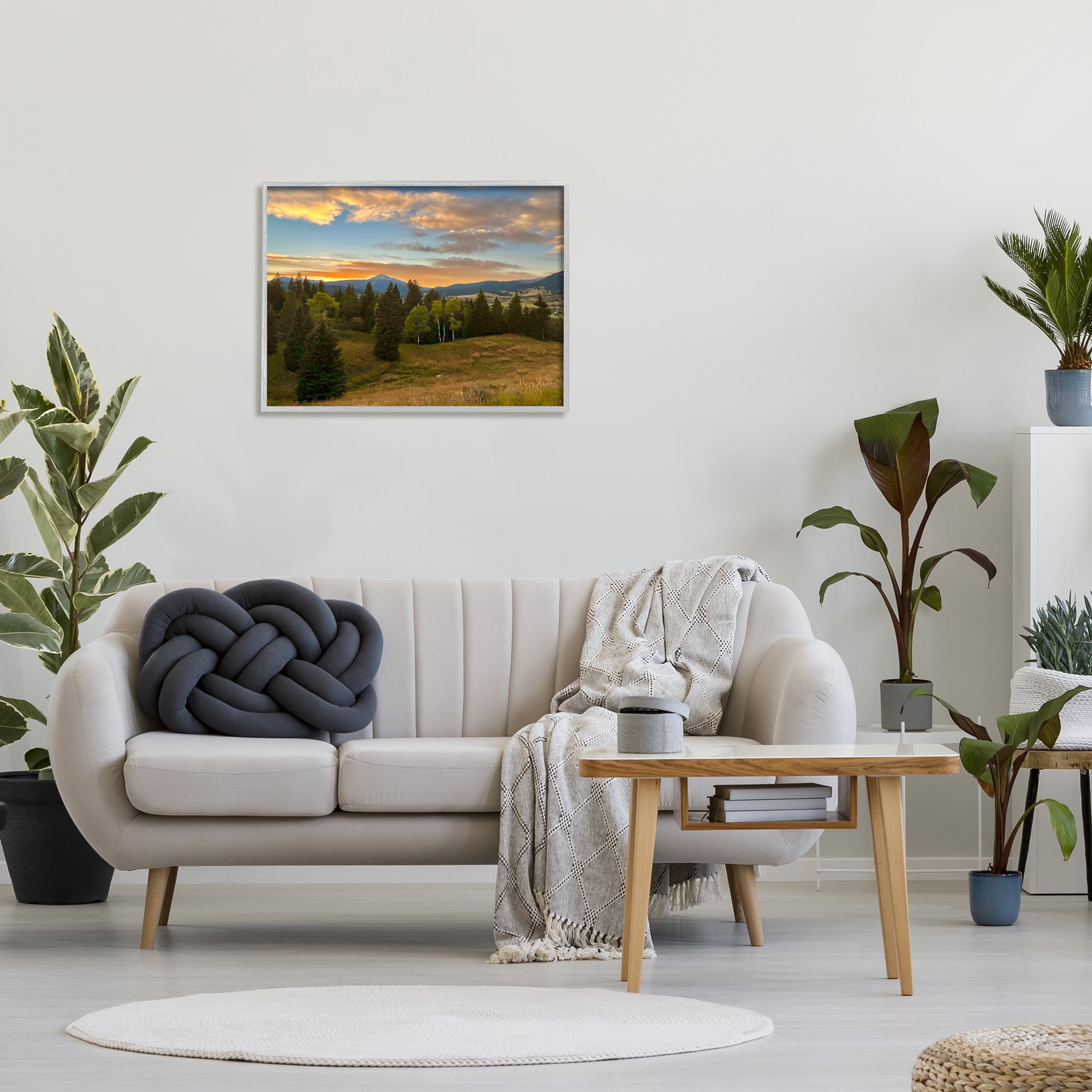Stupell Montana Sunset Forest Clearing Landscape Photography Gray Framed Art Print Wall Art