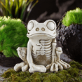 thumbnail image 3 of Modèle de Squelette Grenouille Halloween Statue de Squelette Animal Réaliste Décor de Squelette Grenouille Ornements, 3 of 5