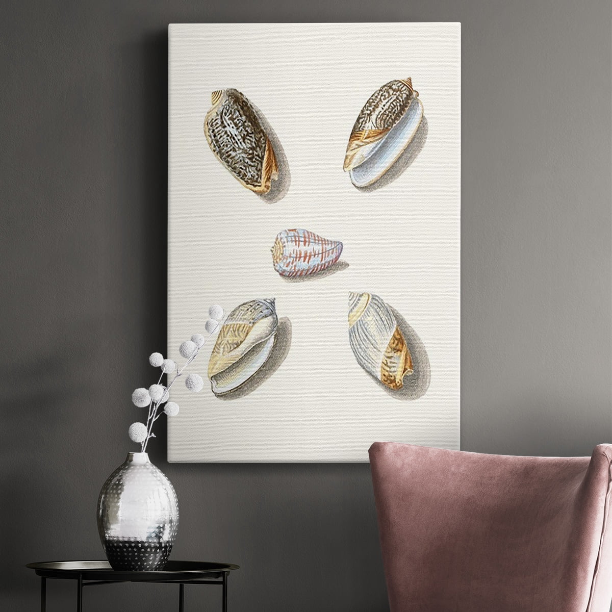 Pastel Knorr Shells III Premium Gallery Wrapped Canvas - Ready to Hang