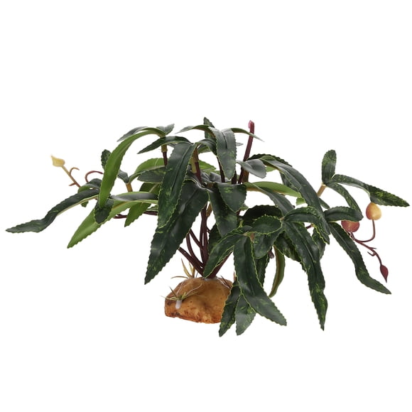 Miangastore Plantes de Gecko Vert 1Pcs 6.3X6.3X4.9In