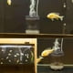 thumbnail image 1 of Colector de succión Hugtrwg automático aspiradora tanque de peces, 1 of 9