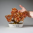 thumbnail image 3 of Genuine Carnelian Gemstone Bonsai Tree in Oval Ceramic Pot (8"), 3 of 5