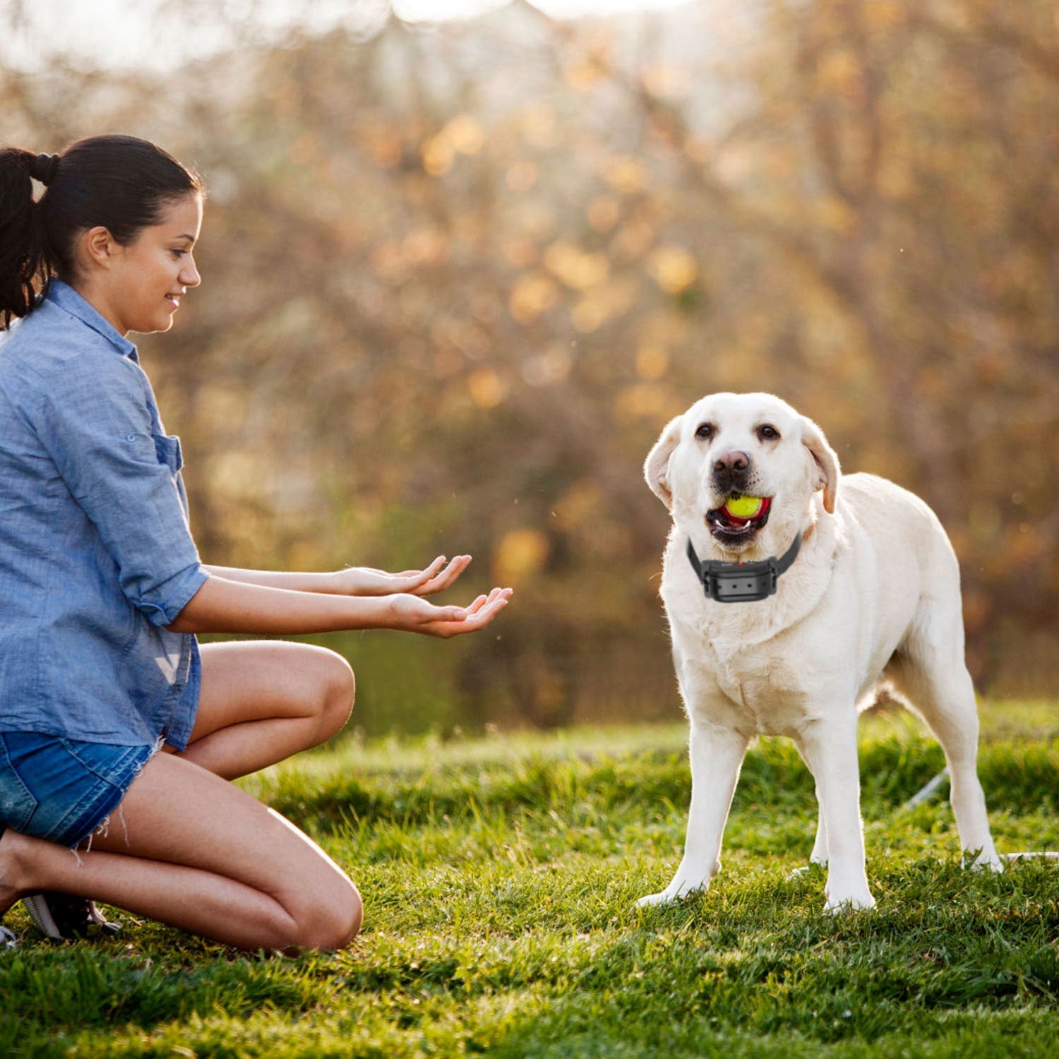 Wireless Dog Fence System TeqHome Electric Fence for Dog with 1 Collar Receiver with GPS Location Monitor for All Dogs