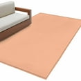 thumbnail image 2 of Peach Fuzz Area Rugs 2.7x5 for Living Room, Farmhouse Solid Orange Color Modern Art Non Slip Washable Rug Runner, Low Pile Indoor Floor Carpet Mat Bathroom Rugs for Bedroom, Kids Room, 2 of 9