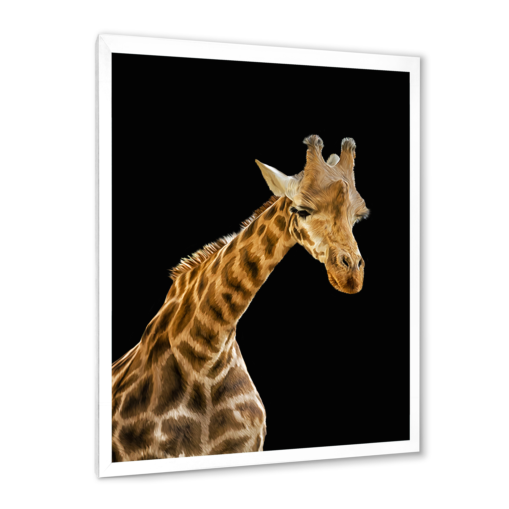 Designart 'Portrait of A Giraffe On Black Background II' Farmhouse Framed Art Print