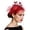 Red, variant on HNMKIU Heardband Elegant Wedding Headdress Bride Hair Party Fascinator Netting Headband Comfortable Fit Casual Everyday Wear Accessory Red,One Size