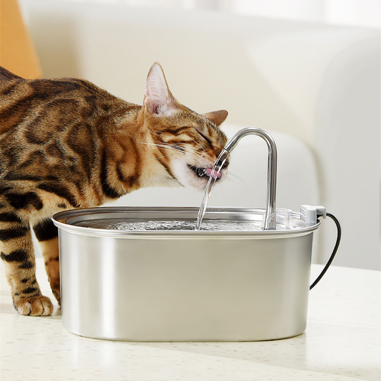 3.2 L Pet Drinking Water Fountain Cats Water Fountain Quiet Filter Drinker Dogs Water Dispenser with Viewable Window