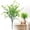 A, variant on YardChic 1Pc Artificial Simulation Camellia Eucalyptus Flowers, 7-Fork Connected Fake Eucalyptus Leaves Greenery Stems for Indoor Outdoor Bouquet Centerpiece Home Office Wedding Decor