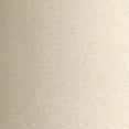 thumbnail image 3 of Rust-Oleum Stops Rust Multicolor Textured 12 oz Paint + Primer Spray Paint, 3 of 7