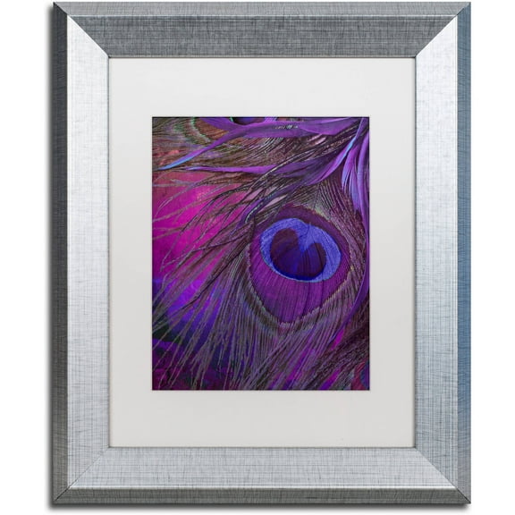 Trademark Fine Art "Peacock Candy IV" Canvas Art by Color Bakery White Matte, Silver Frame