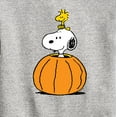 thumbnail image 3 of Peanuts - Snoopy Woodstock Pumpkin - Toddler & Youth Crewneck Fleece Sweatshirt, 3 of 6
