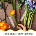 thumbnail image 4 of Propagation Tubes Hydroponic Vase Home Decoration Terrariums Desktop Glass 5 Pcs, 4 of 6