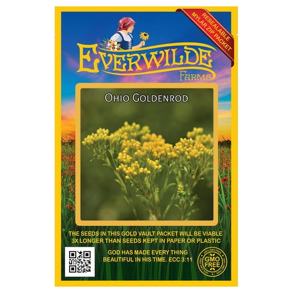 Everwilde Farms - 2000 Ohio Goldenrod Native Wildflower Seeds - Gold Vault Seed Packet