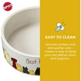 thumbnail image 3 of Ethical Pet 077234546949 5 in. Spot Best Friends Dog Dish Bowl, 3 of 6