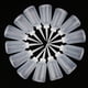 thumbnail image 2 of Aplicador de Pegamento de 14 Piezas Botella de 250 Ml, 2 of 9