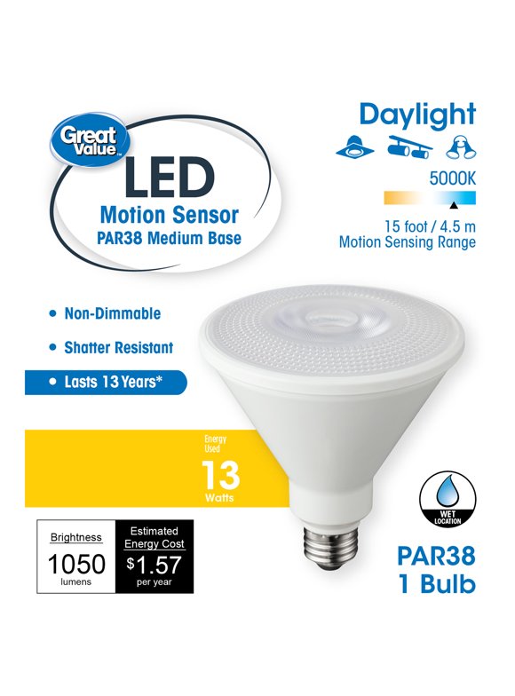 Motion Sensor Light Bulbs in Light Bulbs