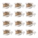 thumbnail image 1 of Comedero para Pájaros con Ajustable, con Rosca en la Jaula, Transparente, 12 Unidades, 1 of 6