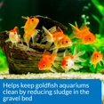 thumbnail image 3 of Limpiador de acuarios API GOLDFISH AQUARIUM CLEANER, botella de 120 ml, 3 of 6