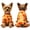Orange, variant on Dog Thanksgiving Pajamas for Small Dogs, Festive Turkey and Pumpkin Print Pet Onesie, Soft Comfortable Loungewear Apparel, Stretchy Holiday Costume for Dogs,Beige Turkey XS