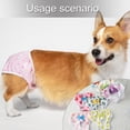 thumbnail image 2 of Soft Period Pants Pantie with Colorful Pattern for Girl Dog Reusable Doggies Period Diaper, 2 of 9