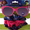 Encanto Pink, variant on Barbie Girls Girls Sunglasses and Scrunchies 2-Piece Set, Pink