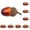 Coffee, variant on 24 Pcs Artificial Acorns,1.57 inch Mini Fake Nut Acorns Ornaments,Realistic Small Acorns Craft for Fall Table Scatter, Wreaths, Bowls, Photo Props, Parties and Farmhouse Decoration,Brick Red