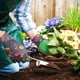 thumbnail image 2 of par de guantes de jardinería, guantes de trabajo, guantes de jardinería, guantes de trabajo para hombres y mujeres, para podar, cavar y plantar., 2 of 7