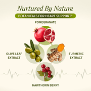 Snap Supplements Nitric Oxide Booster, Heart Health Supplement, 60 + 90 Capsules