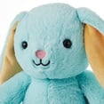 thumbnail image 3 of Hallmark Plush WMT BUNNY, 3 of 4