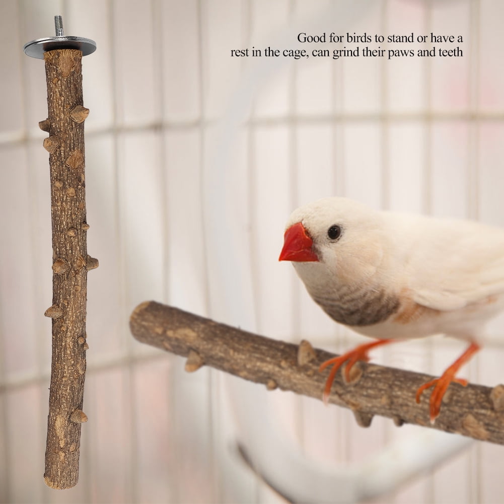 M Buder Natural Wood Bird Perch Stand Toy Paw Grinding Branch For Parrots Macaws Cockatiels Parakeets Cage Accessories With Quick Link Attachment (13.78 inches / 35 cm)