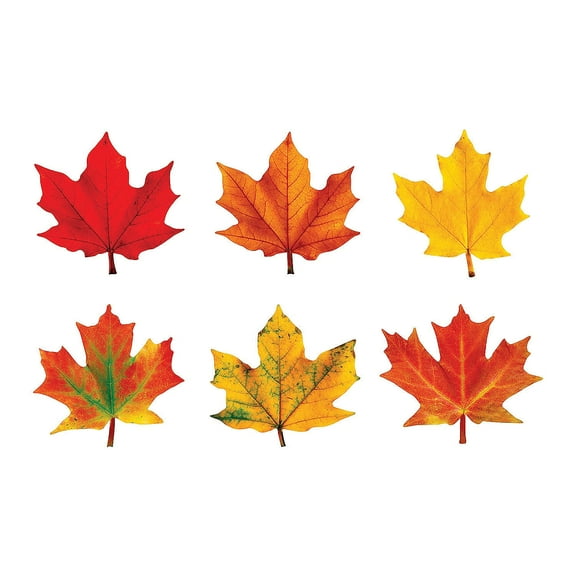 Classic Accents® Maple Leaves Bulletin Board Cutouts, Educational, Party Supplies, 36 Pieces