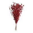 thumbnail image 2 of Tallos Artificiales, Bayas, Plantas de Simulación DIY para Decoración, Mesa de Cena , rojo Fernando tallo de baya feke, 2 of 7