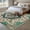 DarkSlateGray, variant on Area Rug for Living Room, Beige Turquoise Boho Non-Slip Indoor Large Carpet for Bedroom/Dining Room, Medieval Vintage Ethnic Floral Washable Low-Profile Rectangle Floor Runner Rugs - 6 x 9 Ft