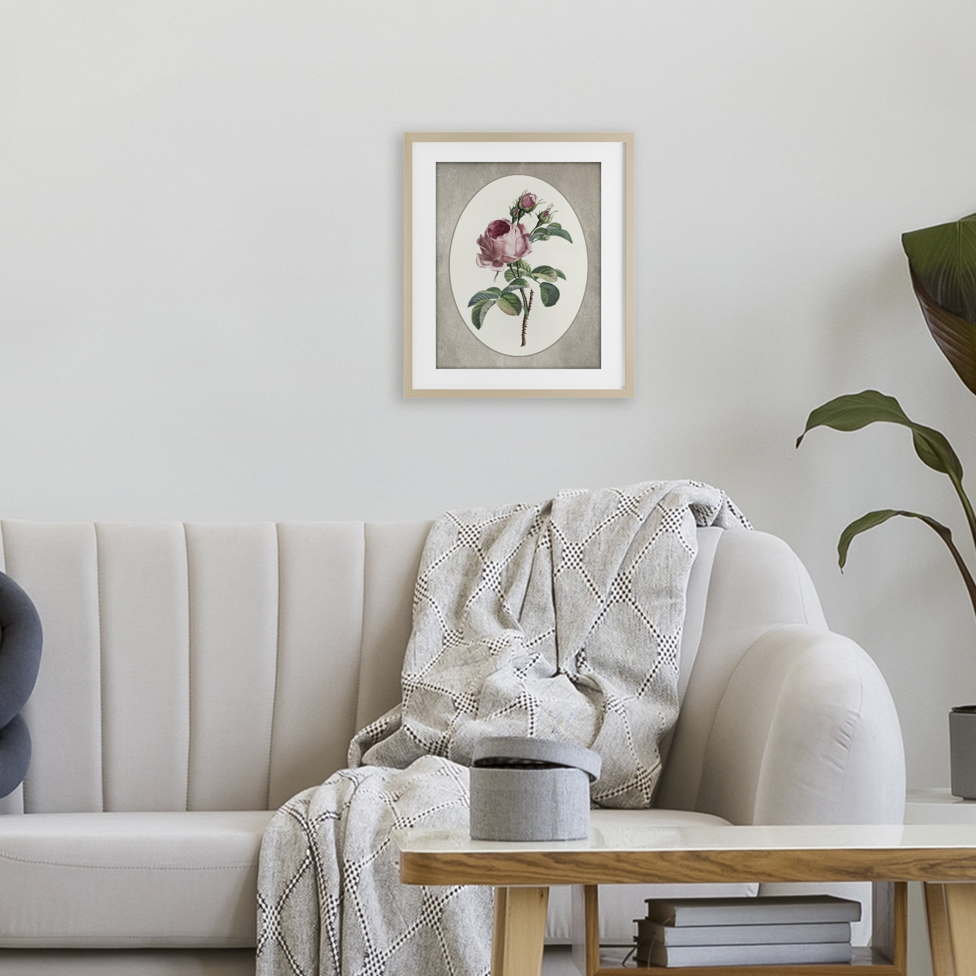 Vintage Rose within Oval Birch Framed Print Under Glass, design by Lettered and Lined