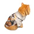 thumbnail image 5 of Happy Halloween Bull Terrier Witches Hat Pumpkin Carving Hawaiian Summer Shirt for Small Medium Large Dog Cat Bully Dog Lovers Gifts Idea - 02019, 5 of 6