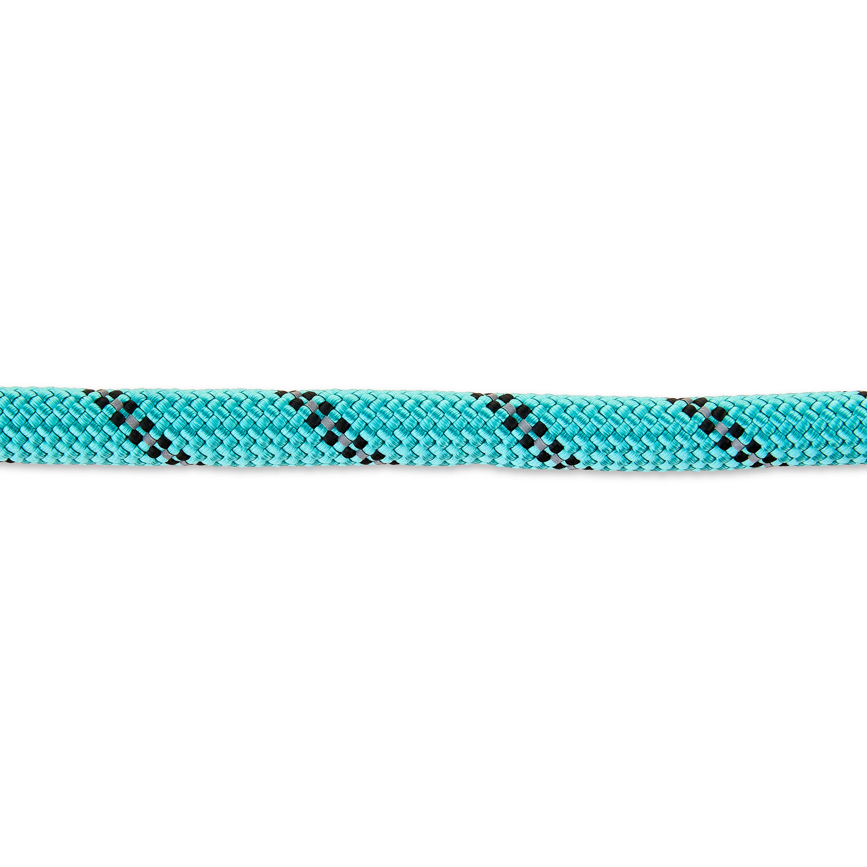 Vibrant Life 6' Neoprene Cushioned Rope Dog Leash, Teal