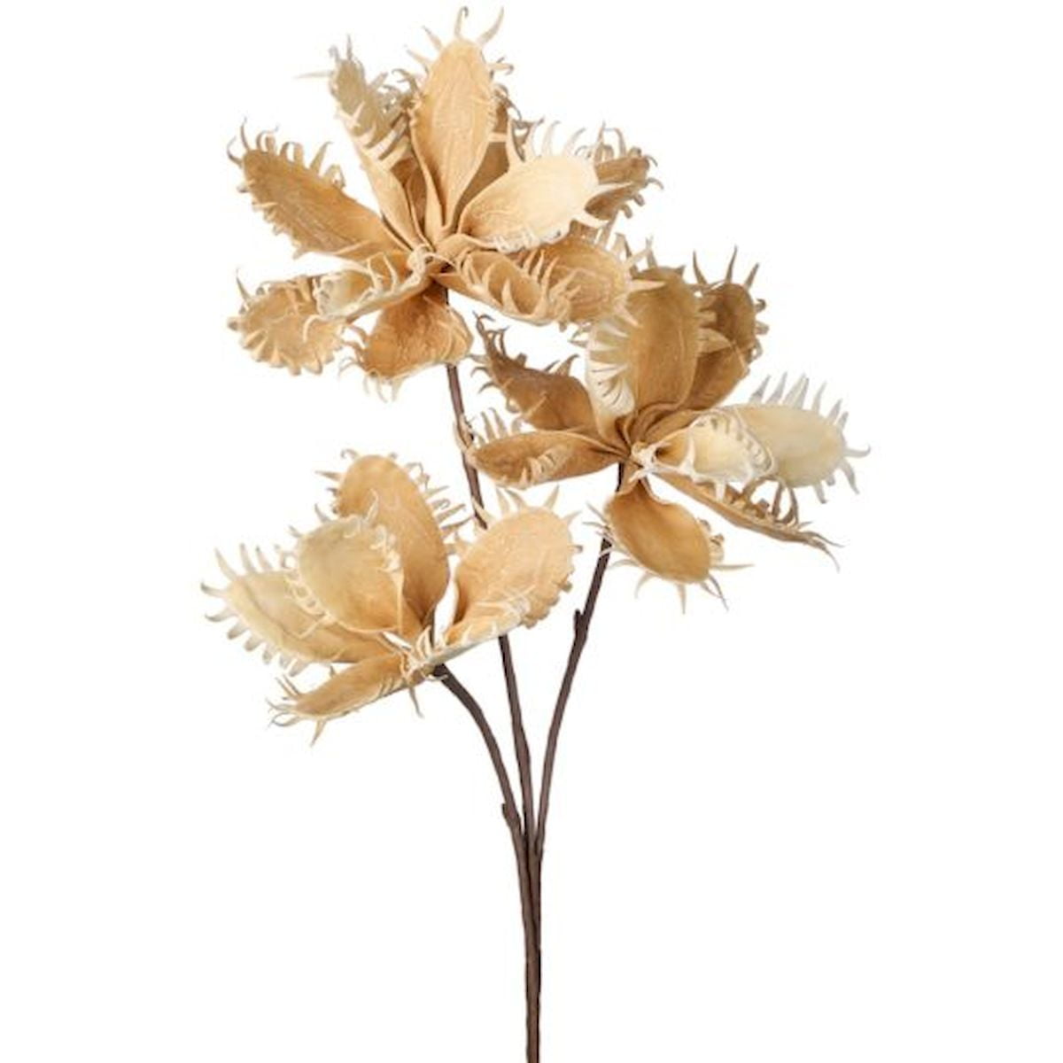 Brown And Cream Fly Trap Spray Artificial Flowers