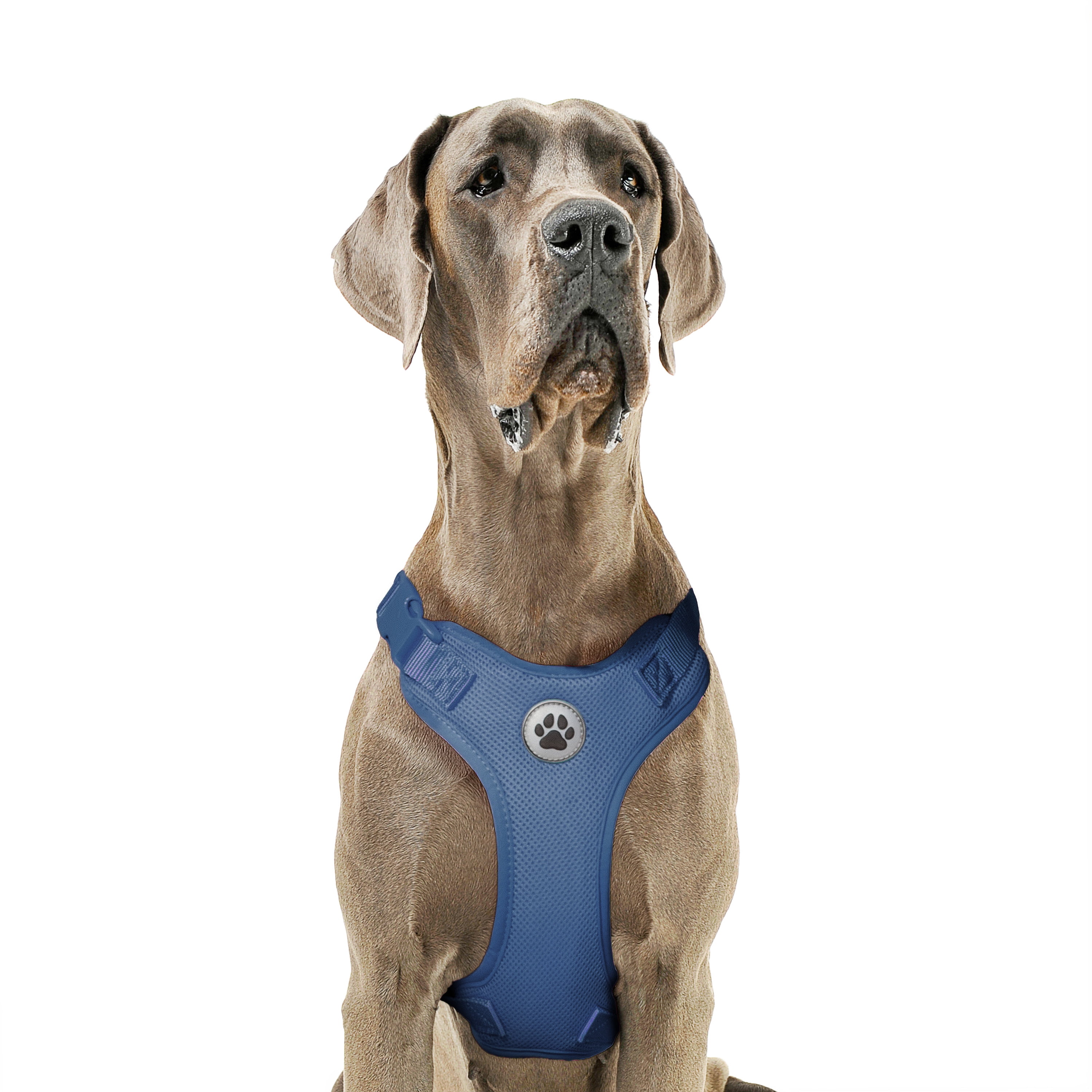 Vibrant Life Polyester Mesh Adjustable and Reflective Dog Walking Harness, Blue, XL