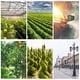 thumbnail image 5 of Spray Atomizante de Alta Presión, Nozzles Antirruido, Corriente Eddy, Sprayer Agrícola, Metal, Portátil, Para Huerto, con Boquilla Windproof, para Cultivo Organico, de Alta Eficiencia, con, 5 of 9
