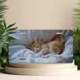 thumbnail image 4 of License Plate, Sleeping Kitten Decorative Front,Personalized Stainless Steel License Plate Cover For Men Women,12.2" X 6.2", 4 of 6